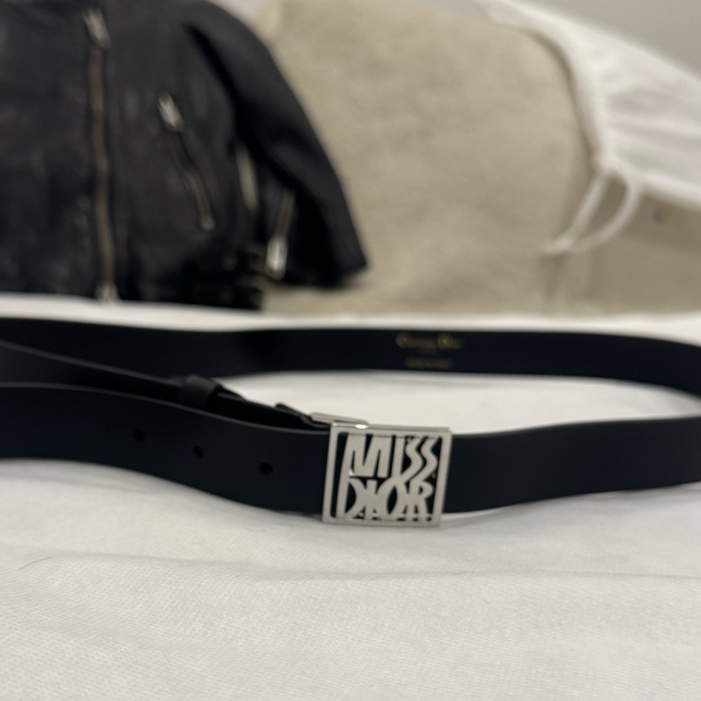 Dior Black Belt Bag with Silver Logo - Picture 6 of 13
